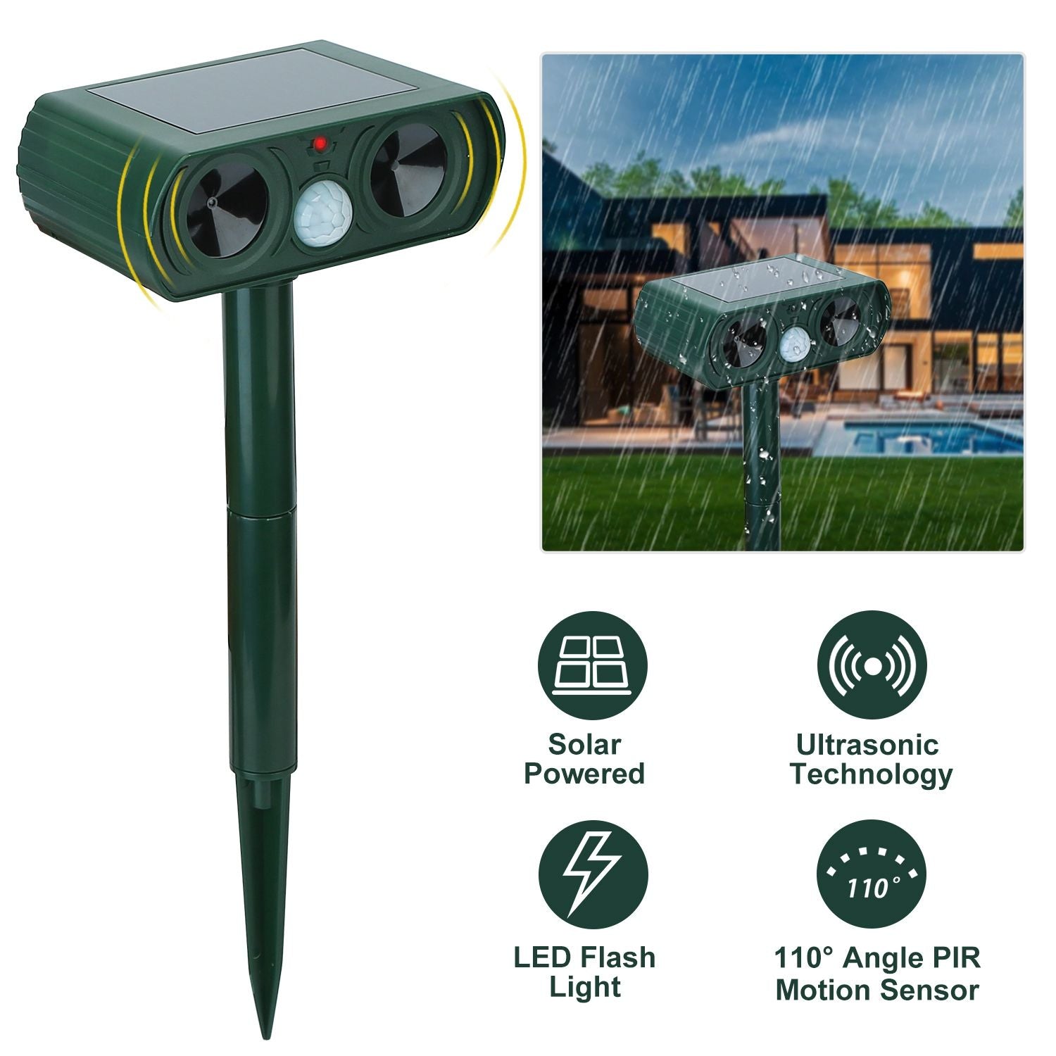 556767811