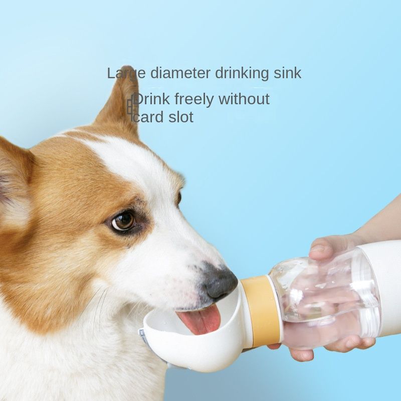 549163921