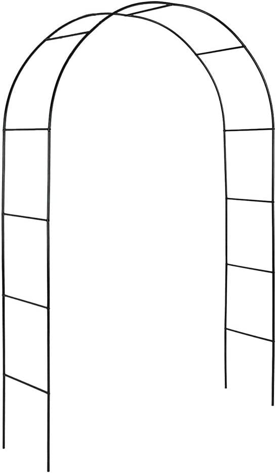 554866421